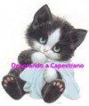 /album/prodotti-clip-animalandia/felino-gatto-coperta-filigrana-jpg/